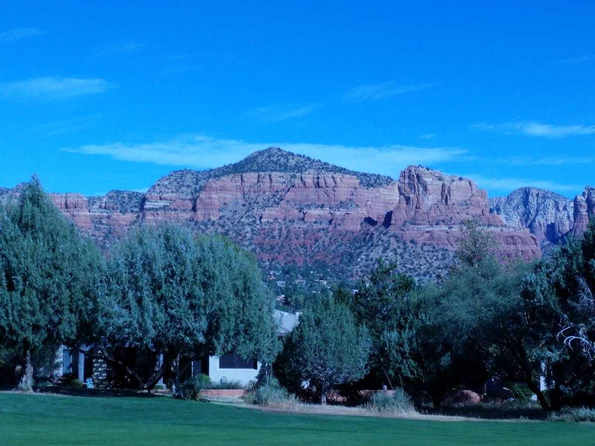 David Short tweet media