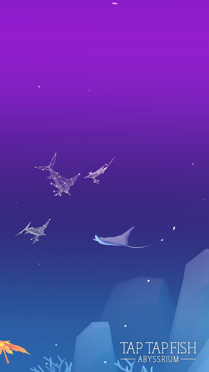 カネマル高橋商店 私の星空マカジキ Taptapfish Download T Co 3b3s1kq2iq