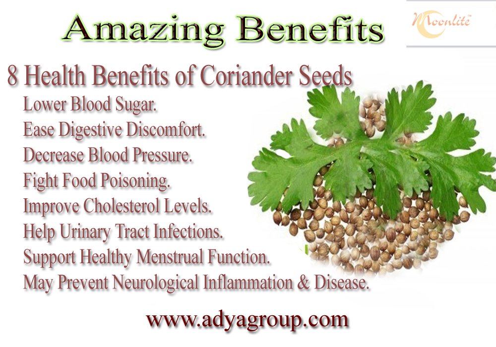 MoonLiteFoods's tweet photo. @MoonLiteFoods foods Inc. Amazing benefits of #coariander seeds in our life #BlueBloods https://t.co/EkotZ0cORI