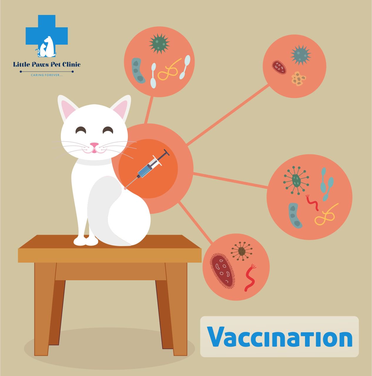 little paws pet clinic