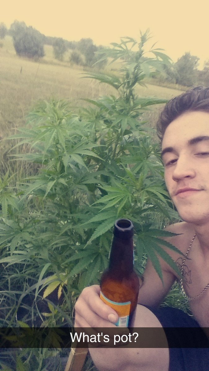 BarrettBryce's tweet photo. Got pot? https://t.co/cvaOQvzzWQ