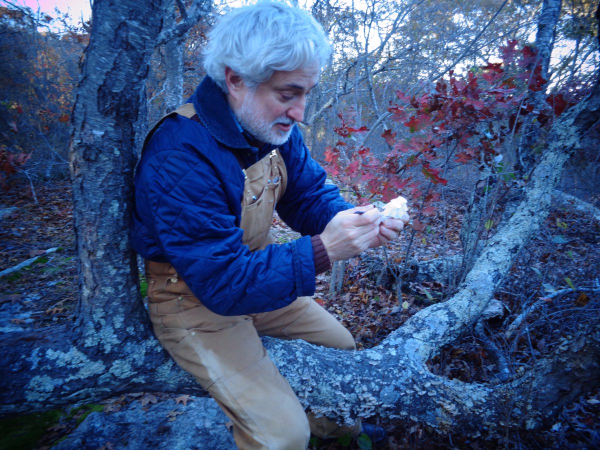 Franco H Falcone tweet media