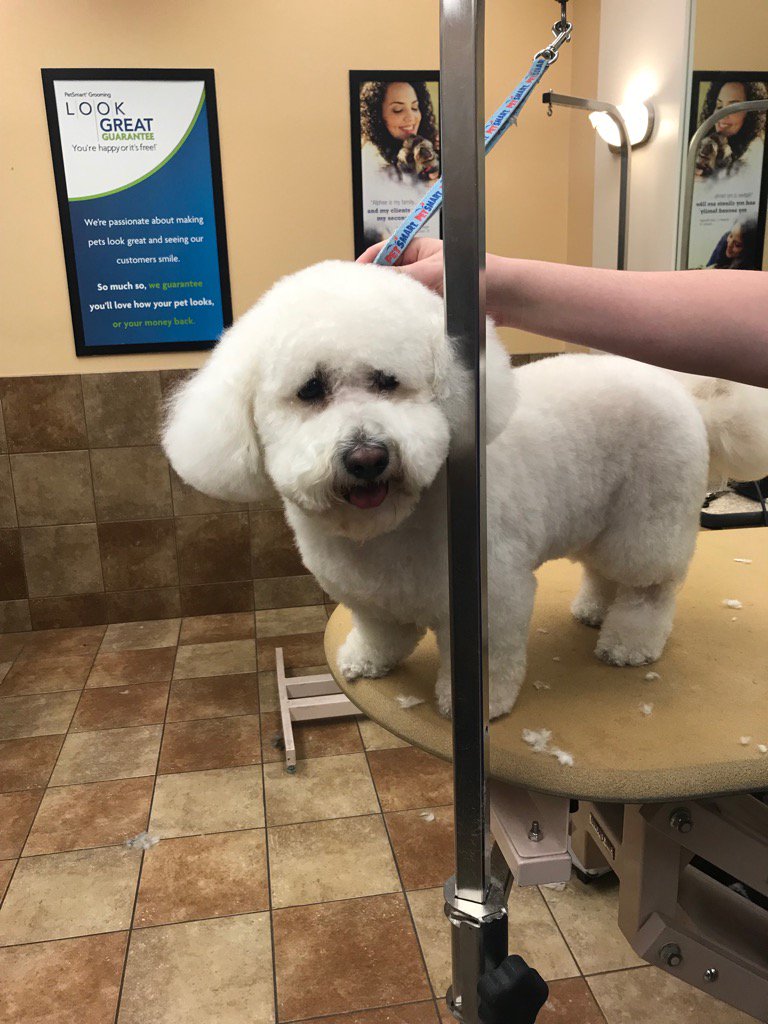 Super proud! Students did a phenomenal job. <a href="/ashleybeltz84/">Ashley</a> <a href="/CarrieVillani/">Carrie Villani</a> @PetSmart_DaveK