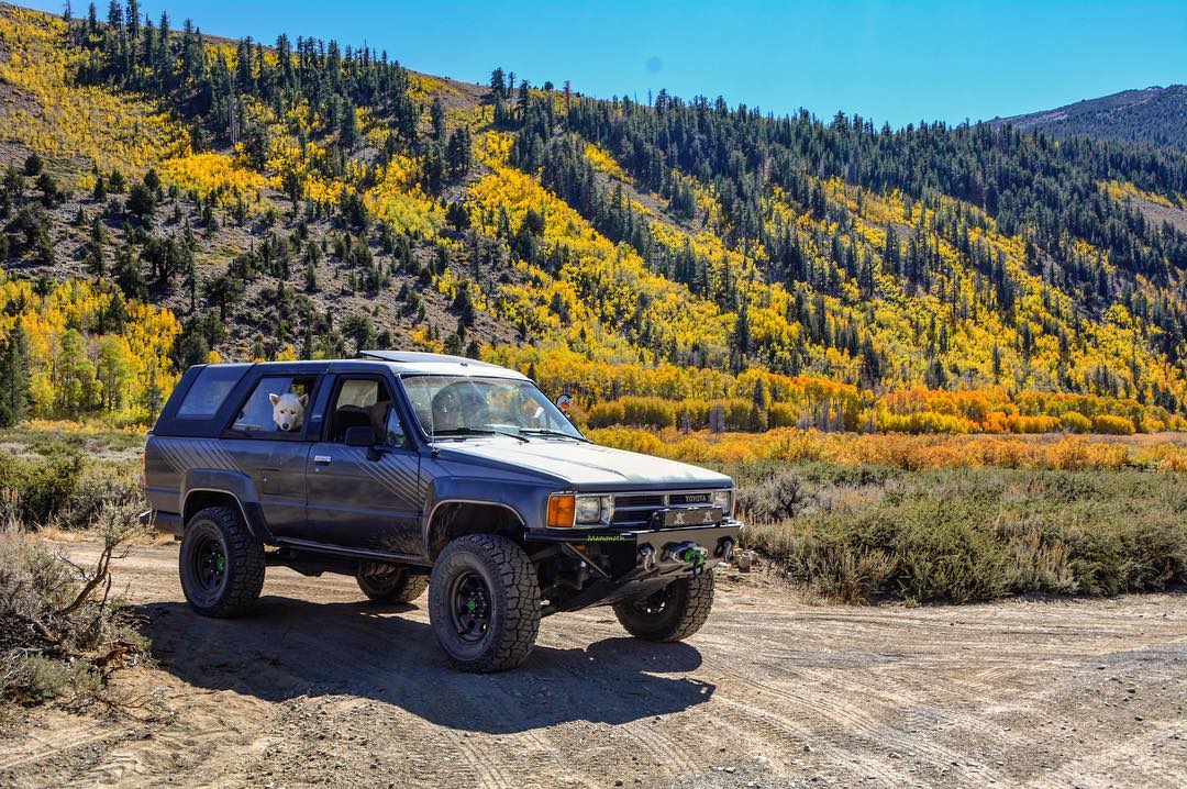 DickCepekTires's tweet photo. It's the weekend! Go #CEPEKN! https://t.co/fY44vEe6Ks