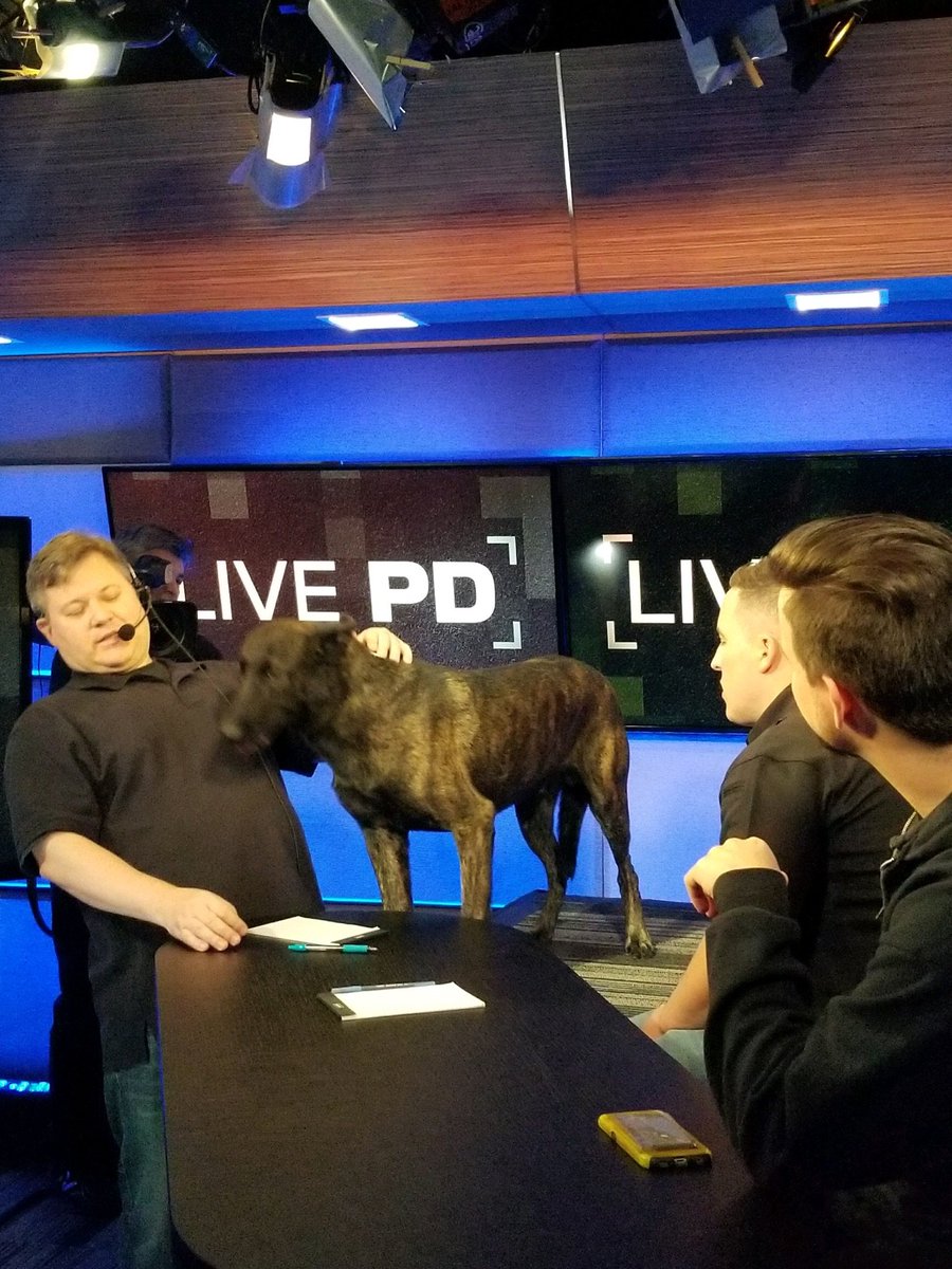 SusanWood657's tweet photo. Omg JM just sent this to me. Sooooooo pumped! #k9flex https://t.co/8GcXc6Ah3B