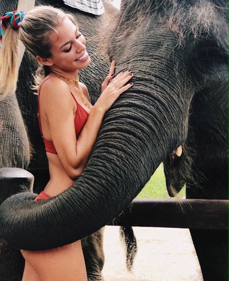 «El desorden llega del orden, la cobardía surge del valor, la debilidad brota de la fuerza»