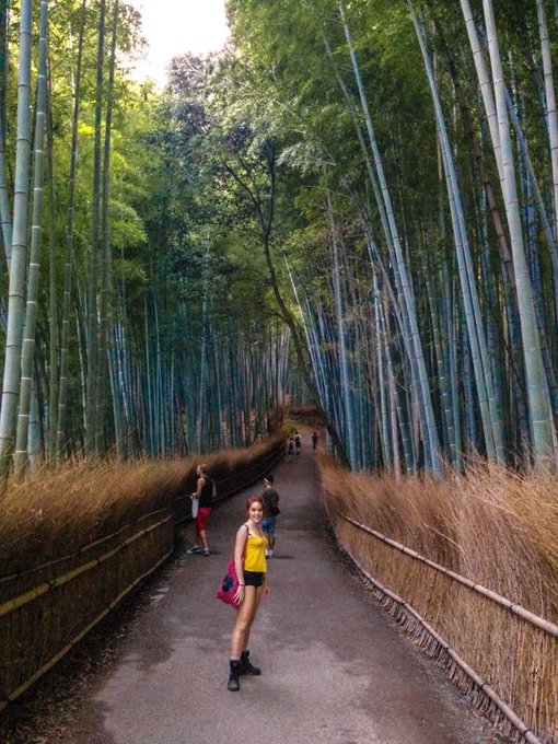 Kyoto, Japan. Year 2014. https://t.co/MD5krt3EFZ<a href="/tag/selfie"class="tags"><span>#selfie</span></a>