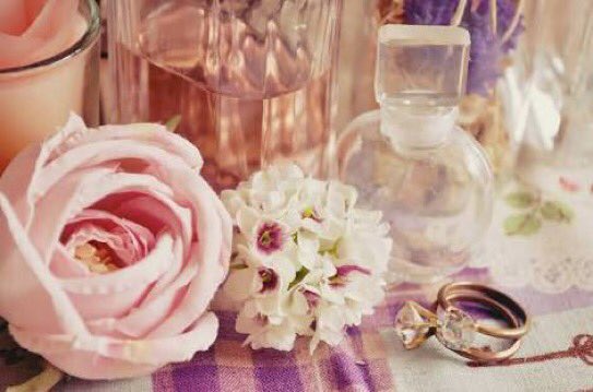 jihi890's tweet photo. ✨
*･゜ﾟ･*:.｡..｡.:*･ガーリーとフェミニン･*:.｡. .｡.:*･゜ﾟ･*
                      可愛いらしさと女性らしさ
                        どちらもあったらいいな✨ https://t.co/bf34iRJXRo