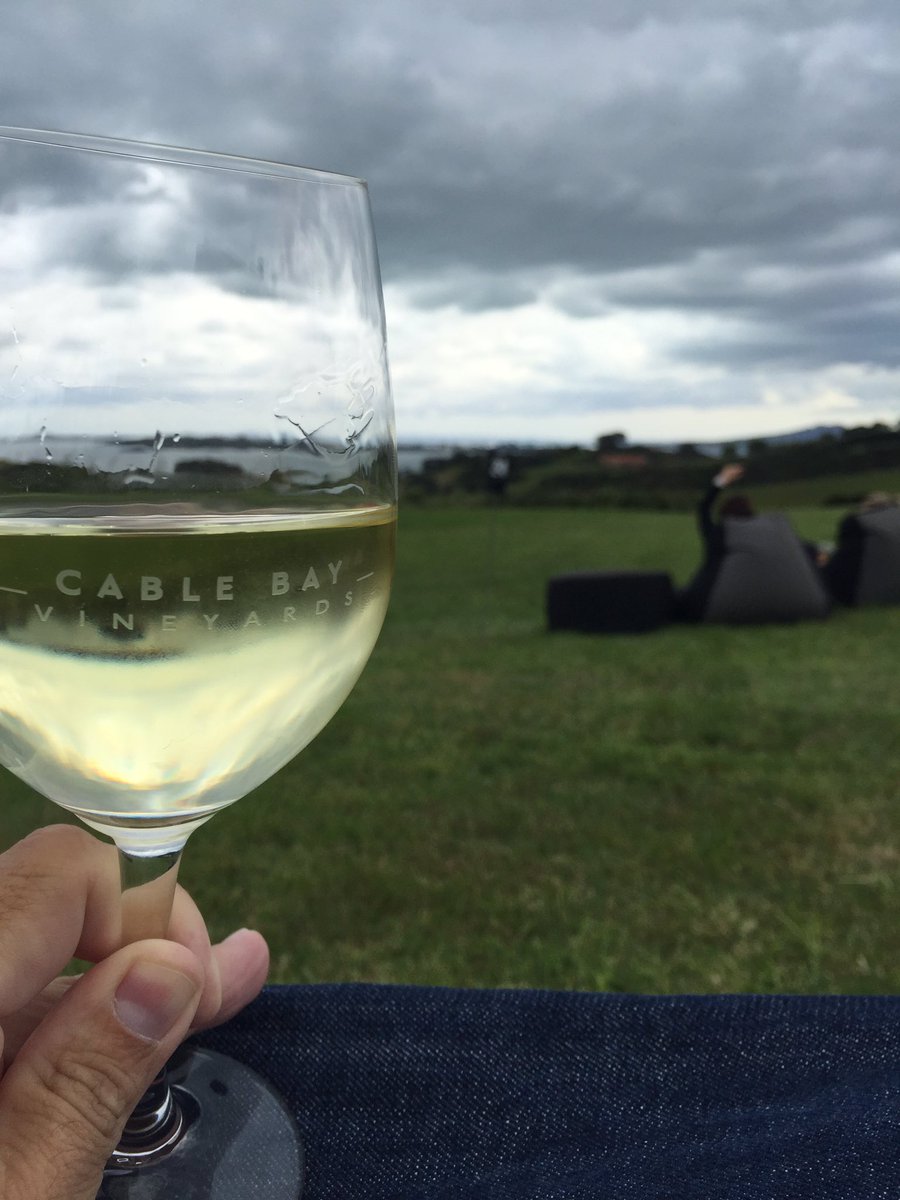 SteveDachowski's tweet photo. #CableBayVineyard ... the view from the beanbag chairs is amazing.  #NewZealand https://t.co/fNqqUgaMKo