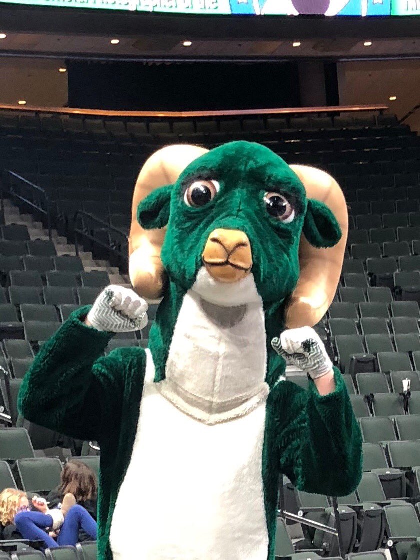 RoseauRam's tweet photo. #SuperFan #RamVB https://t.co/BiT5MQIYRo
