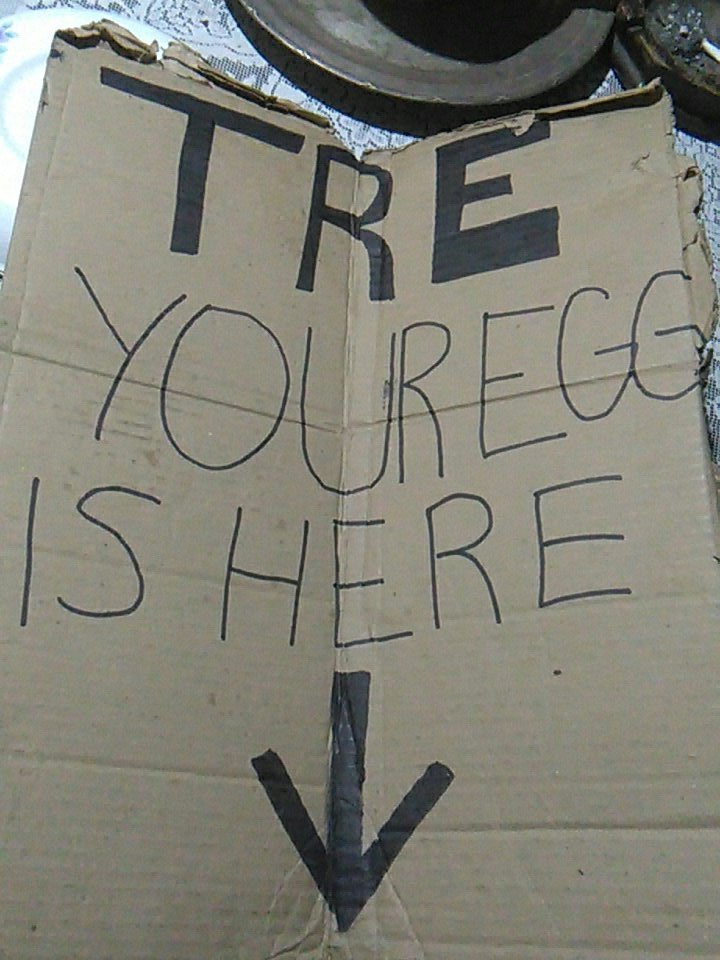 warning_2000GD's tweet image. BILLIE LEYO MI CARTEL Y SE RIO, YO NO PUEDO MAS DE LA EMOCION