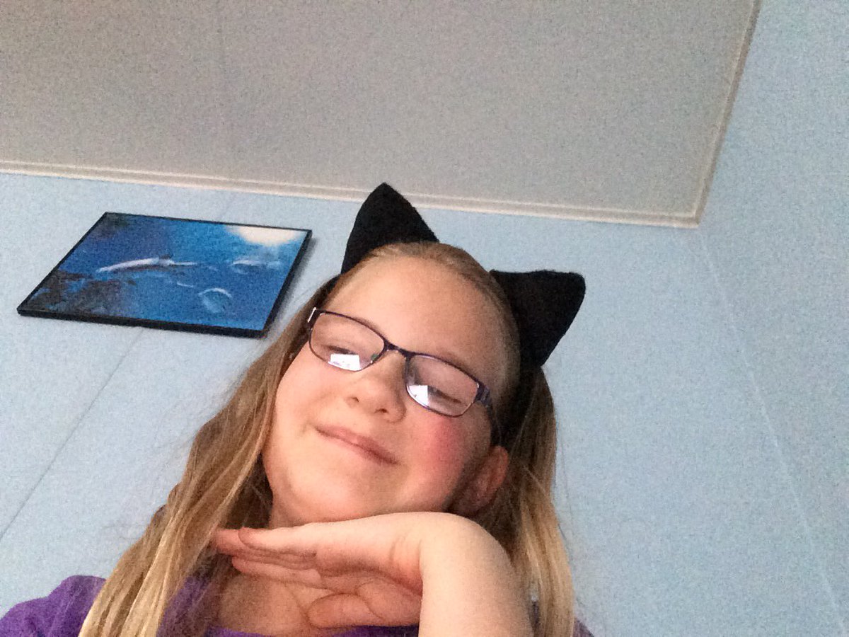MaccaRC2003's tweet photo. I'm a cat https://t.co/WKivVU6qB1