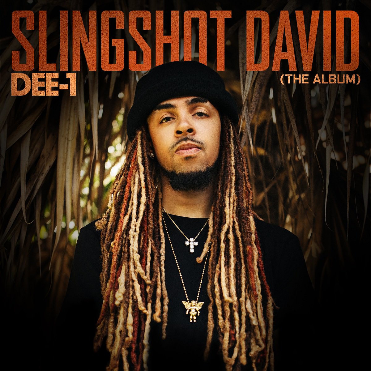 BuzzAndBeeps's tweet photo. The Gospel Guru --  Dee-1 Releases New Album ‘Slingshot David” https://t.co/qqOMwYU9es https://t.co/rC5dfk1E80