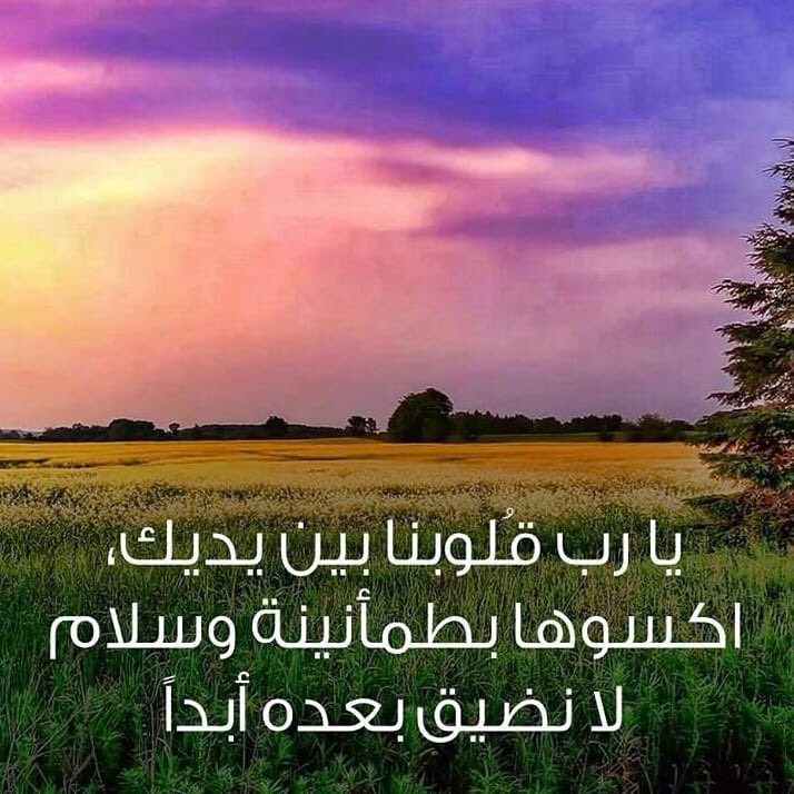 samer alhmmady (@sammeer50) on Twitter photo 