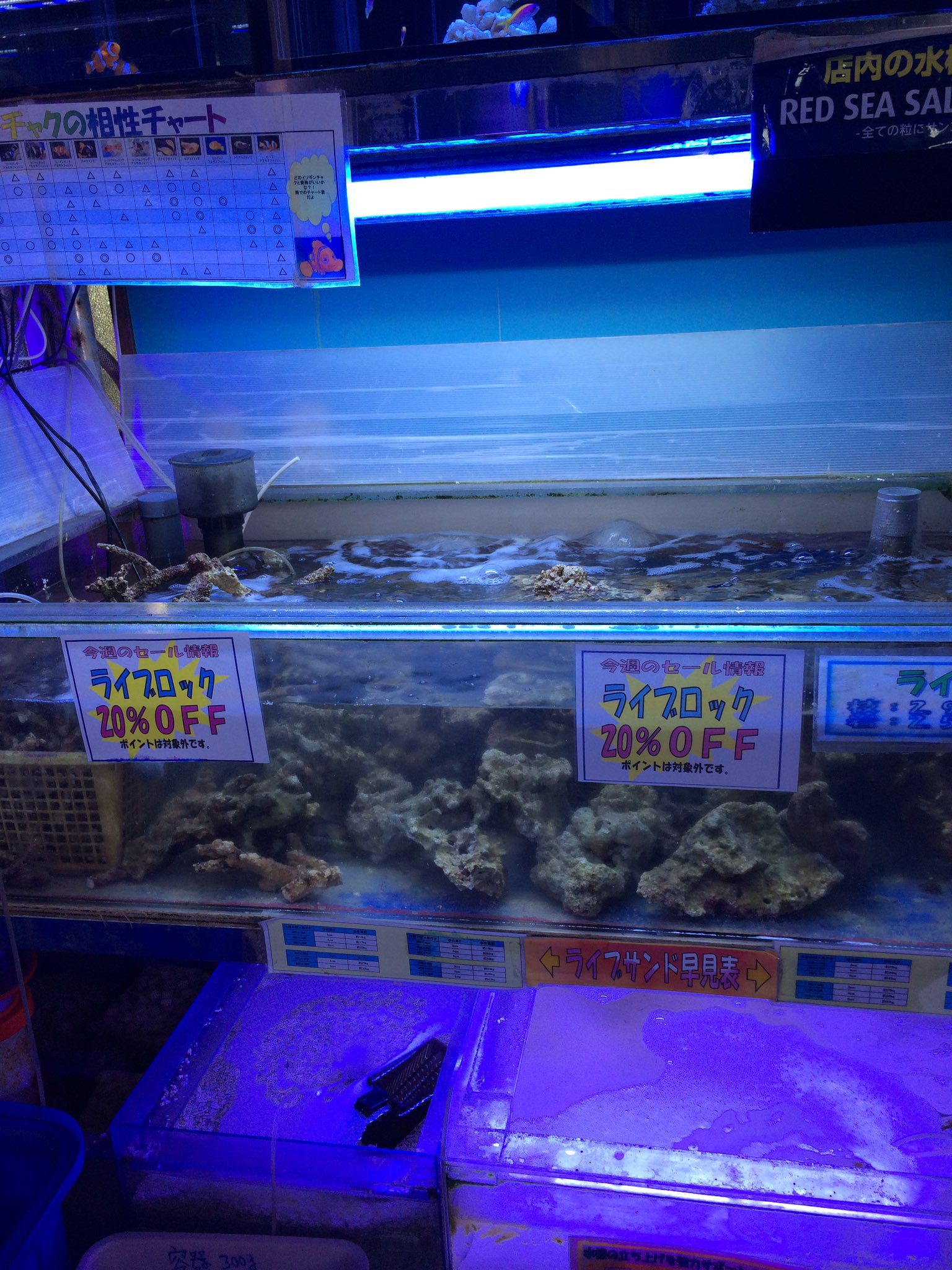 生麦海水魚センター 週末限定大セールライブロックが2割引となっております 生麦海水魚 センターではキュアリングを済ませているので綺麗でバクテリアたっぷりなライブロックをそろえております ほかにも状態よし色よしのサンゴも入荷しておりますので是非