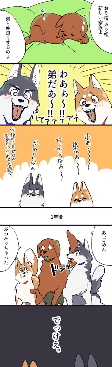 【犬の兄松】思ったよりでかくなる https://t.co/53JGrlMZxE