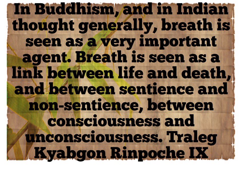 ShogamPubs's tweet photo. #tralegkyabgon #tralegrinpoche #rinpoche #tilku #buddhism #buddhist #dharma #dhamma #tibetanbuddhism #mahayana #prana #pranayama #yoga #yogi #yogini #yogin #indianphilosophy #easternphilosophy #tibetan #varra #vajrayana #yanas #dharmabook #buddhistbooks https://t.co/nutKufKpDg
