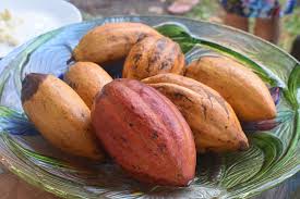 Health Benefits of Chocolate! 
Being that I'm a Chocolate farmer and encourage others on their health journey... enjoy this article by Dr. Jockers  :)
drjockers.com/6-ways-use-cho…