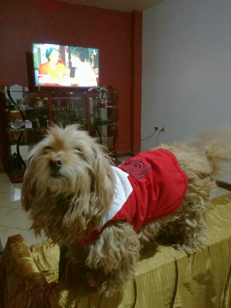 la_chio15's tweet photo. #PeruRumboARusia . Yo tambien me llamo Perú :) https://t.co/aHippdtqJO