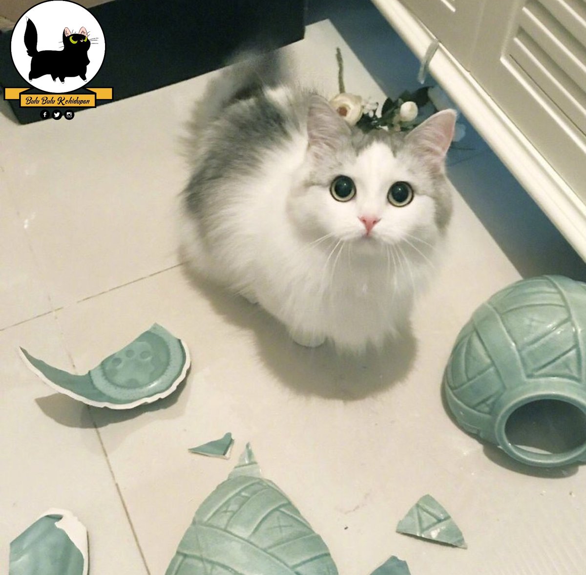 ulat_bulu_bulu's tweet image. "Biar saya jelaskan. Tak baik terus menuduh."