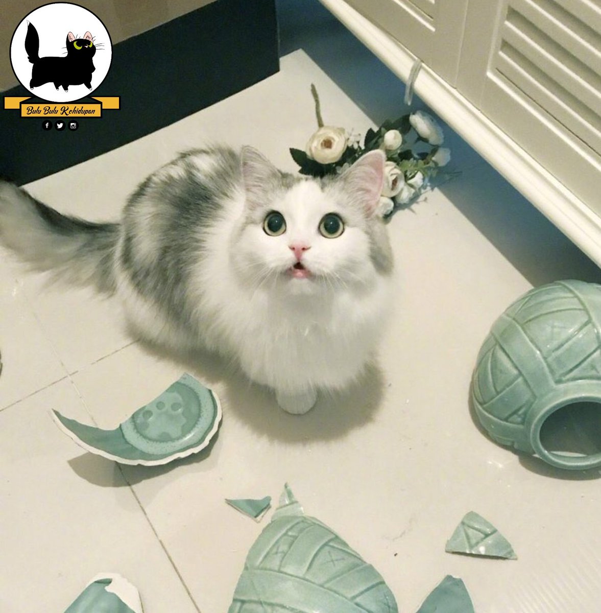 ulat_bulu_bulu's tweet image. "Biar saya jelaskan. Tak baik terus menuduh."