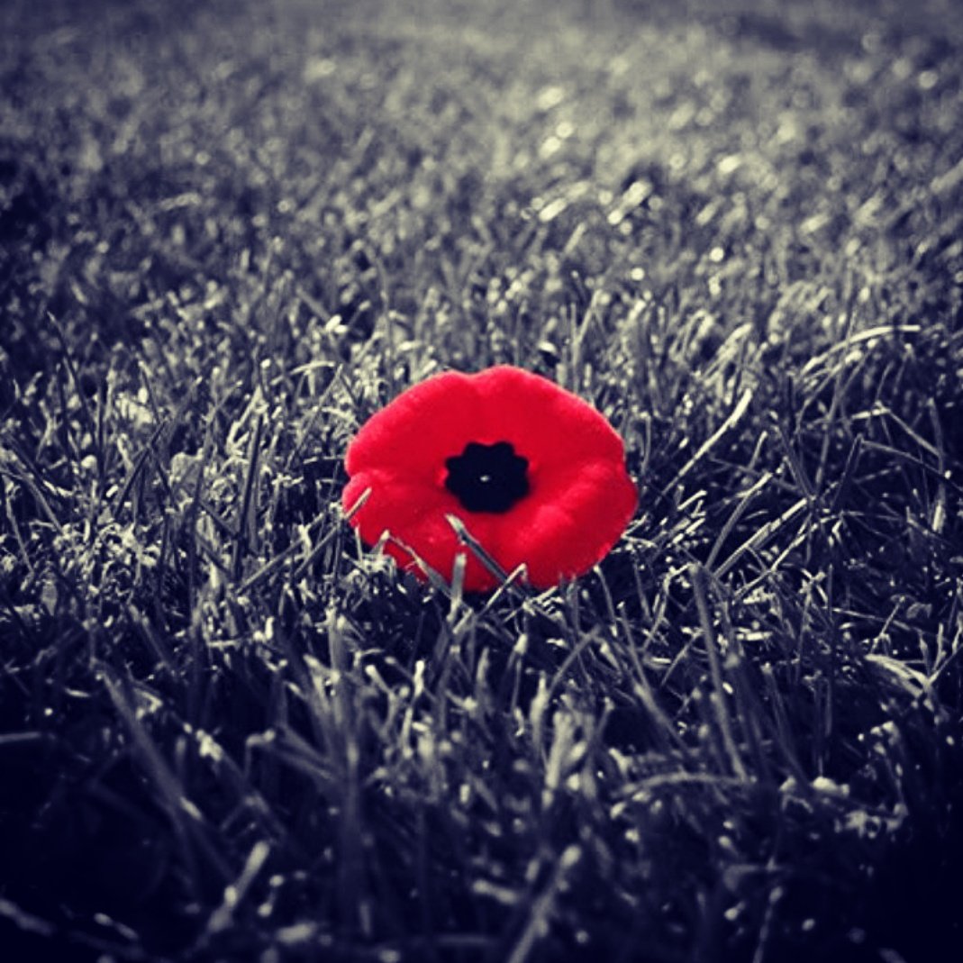 PaulGriff79's tweet photo. We shall never forget #ArmisticeDay https://t.co/BYJ1Vrh7Wr