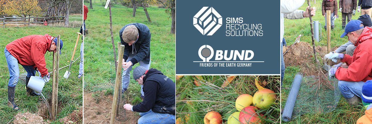 HERE WE GO! - PLANTING TREES - We start with 32
participants we dig holes, plant trees, building nest boxes for birds and give
the future a Chance!