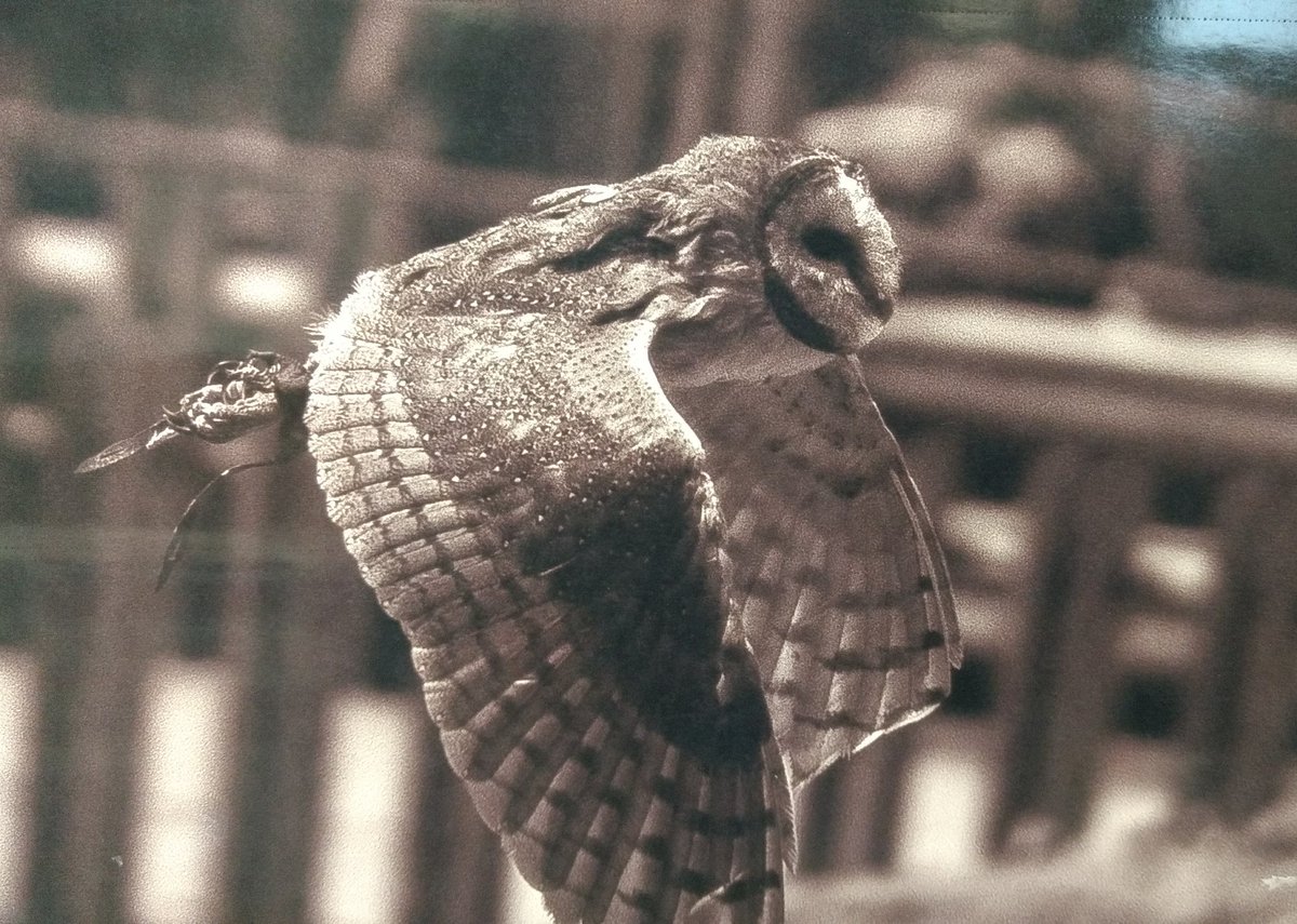NeilRoskilly's tweet photo. Fabulous photography @isaschools National Art Final in Coventry. @isaschools #photography #ISA2017ASC @HighclareSchool https://t.co/vX9yXaCx08