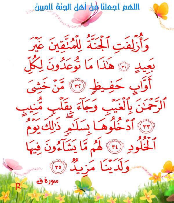 Na_Se_90's tweet photo. #حمامة_السلام_للدعم
#همس_المشاعر_للدعم
#قروب_فصلة_للدعم https://t.co/RULv2F2uOR