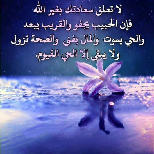 Na_Se_90's tweet photo. #حمامة_السلام_للدعم
#همس_المشاعر_للدعم
#قروب_فصلة_للدعم https://t.co/bqv5JAyltk