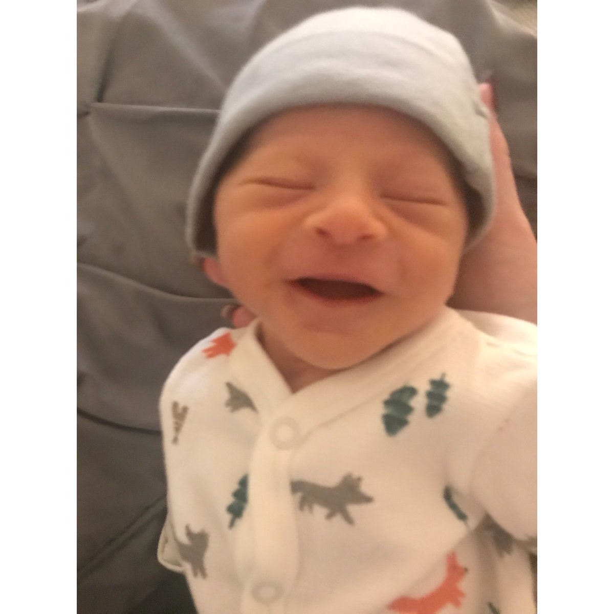 LAhomesbyAngel's tweet photo. Goodnight💛

Love, 
Baby Valentino https://t.co/GJx2Bletc9