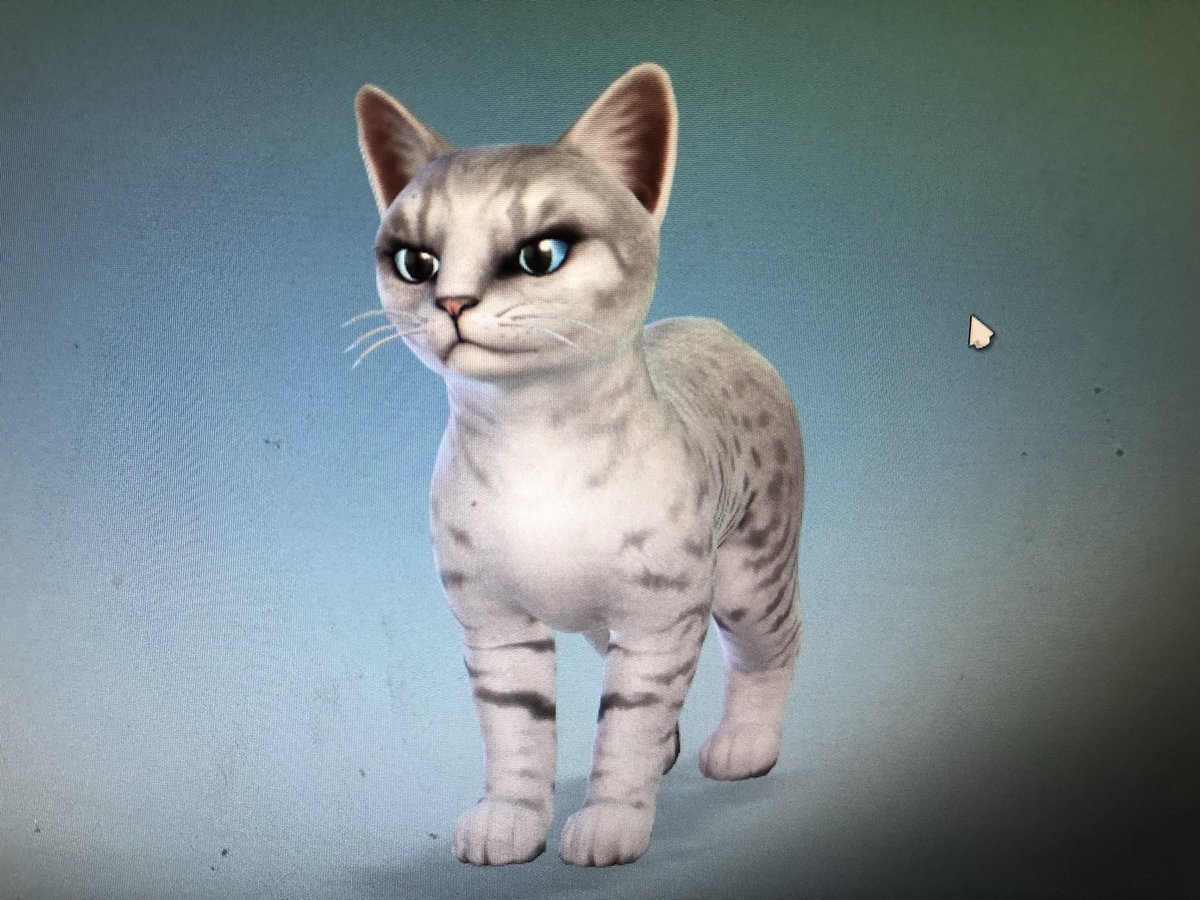 SammersVG's tweet image. Estoy jugando por primera vez en años solo para hacer en sim a mi adorada gatita Kiri! 🍓🐾 #LosSims4PerrosYGatos Me encanta la expansión, mi favorita hasta ahora!