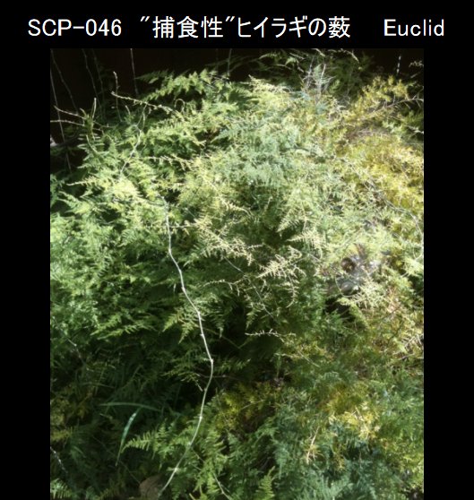 独断と偏見で語るscp紹介botさん の最近のツイート 58 Whotwi グラフィカルtwitter分析