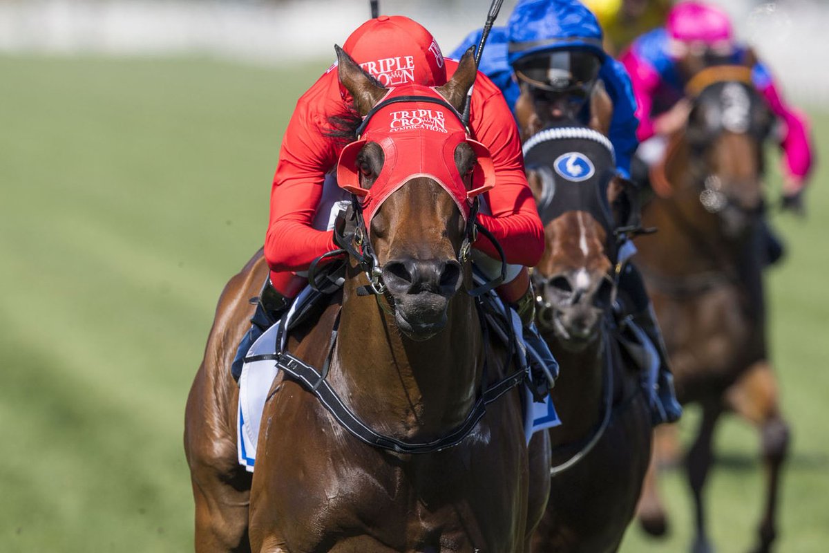 mmsnippets's tweet photo. NEWS: Triple Crown's Redzel is a Sprinting Superstar
$7.79 million earned for $120,000 Gold Coast Yearling Sale buy
Read more here: https://t.co/jndCx68H6v
#MMGraduate
#Redzel
#Snitzel
#MelbourneCupCarnival
#Flemington https://t.co/xoEdrKVCib