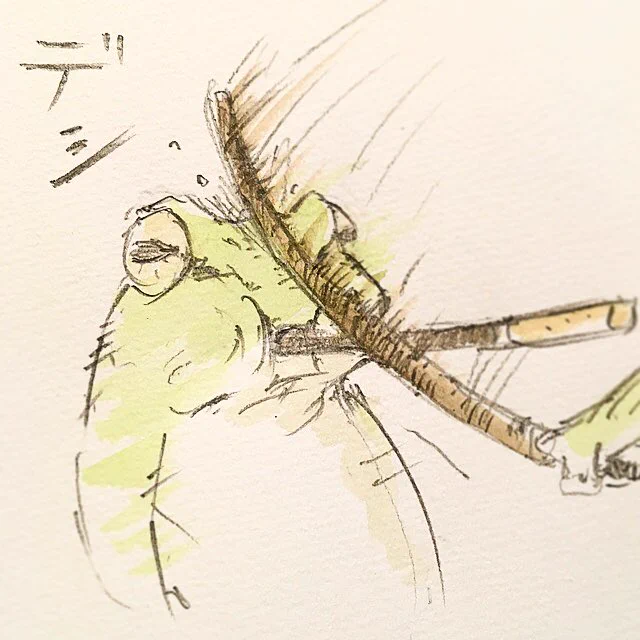 想像していたゲームと違うｗｗｗ強烈アタックにポッキーも崩れ去るｗｗｗ