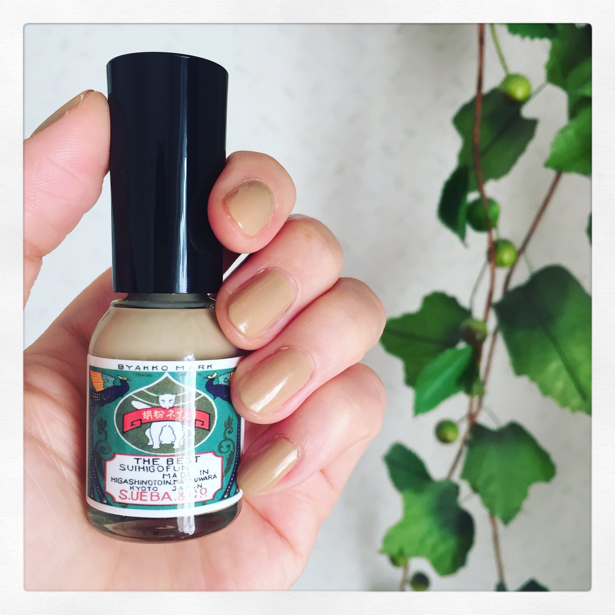 危 機 胡粉ネイル 瑪瑙 めのう ブルボンのお菓子にありそうな色