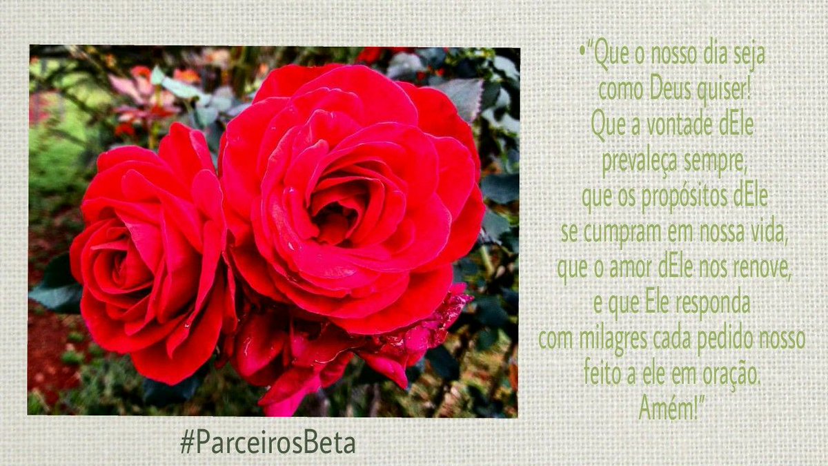 Que assim seja! Amém! #ParceirosBeta <a href="/ParceirosBeta/">#PARCEIROSBETA OFICI</a>