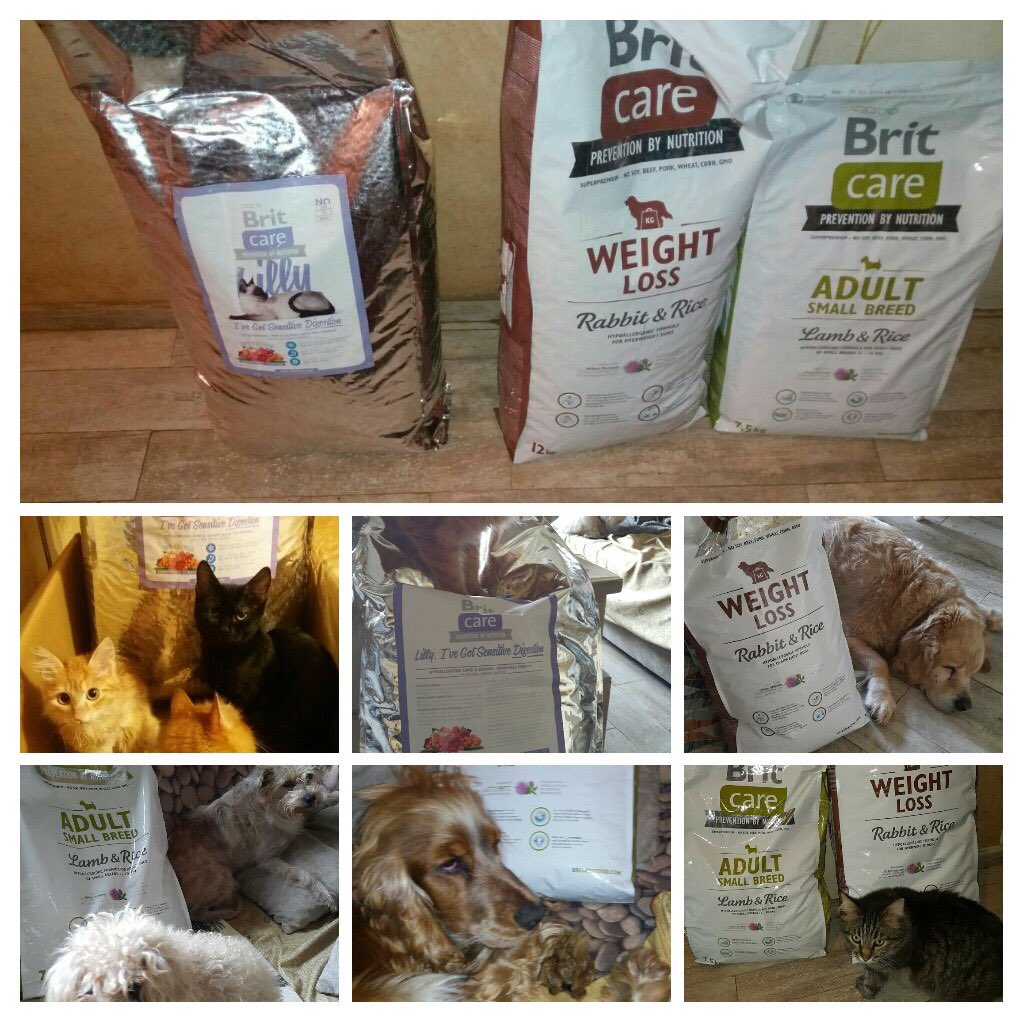 tunaarman1's tweet photo. Küçüklü büyüklü, #kedi li #köpek li ailemin @BritCareTurkiye mamaları. 😋 #dog #kitten #yavruköpek #yavrukedi #kediler #cats #köpekler #dogs #kedisahiplen #köpeksahiplen #petfood #satınalmasahiplen #BritCare #BritCareTürkiye #BritCareTurkey #oyuncu #aktris #actress #TunaArman https://t.co/UHRpQpMRc6