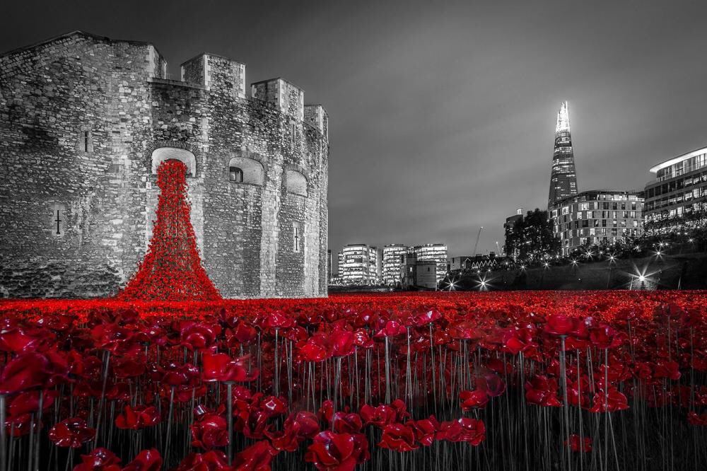 daisy_sells's tweet photo. What a #tribute, #LestWeForget #artinstallation #BloodSweptLands and #SeasofRed @TowerOfLondon @TowerPoppies @PaulCumminsMBE @tompiperdesign https://t.co/yU5c668tZQ #WeWillRememberThem https://t.co/E3NMf0alQX