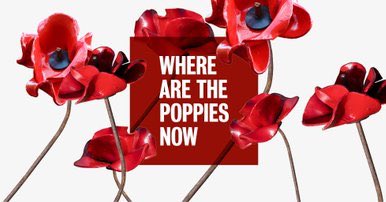 daisy_sells's tweet photo. What a #tribute, #LestWeForget #artinstallation #BloodSweptLands and #SeasofRed @TowerOfLondon @TowerPoppies @PaulCumminsMBE @tompiperdesign https://t.co/yU5c668tZQ #WeWillRememberThem https://t.co/E3NMf0alQX