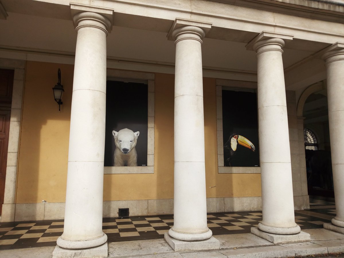 astusciences's tweet photo. Intriguants animaux qui nous observent du côté du @MuseumGrenoble dommage pas le temps de faire la visite de leur nouvelle expo avant les #RMSGre @MontagneScience #CSTI https://t.co/oA5Vc2taQ1