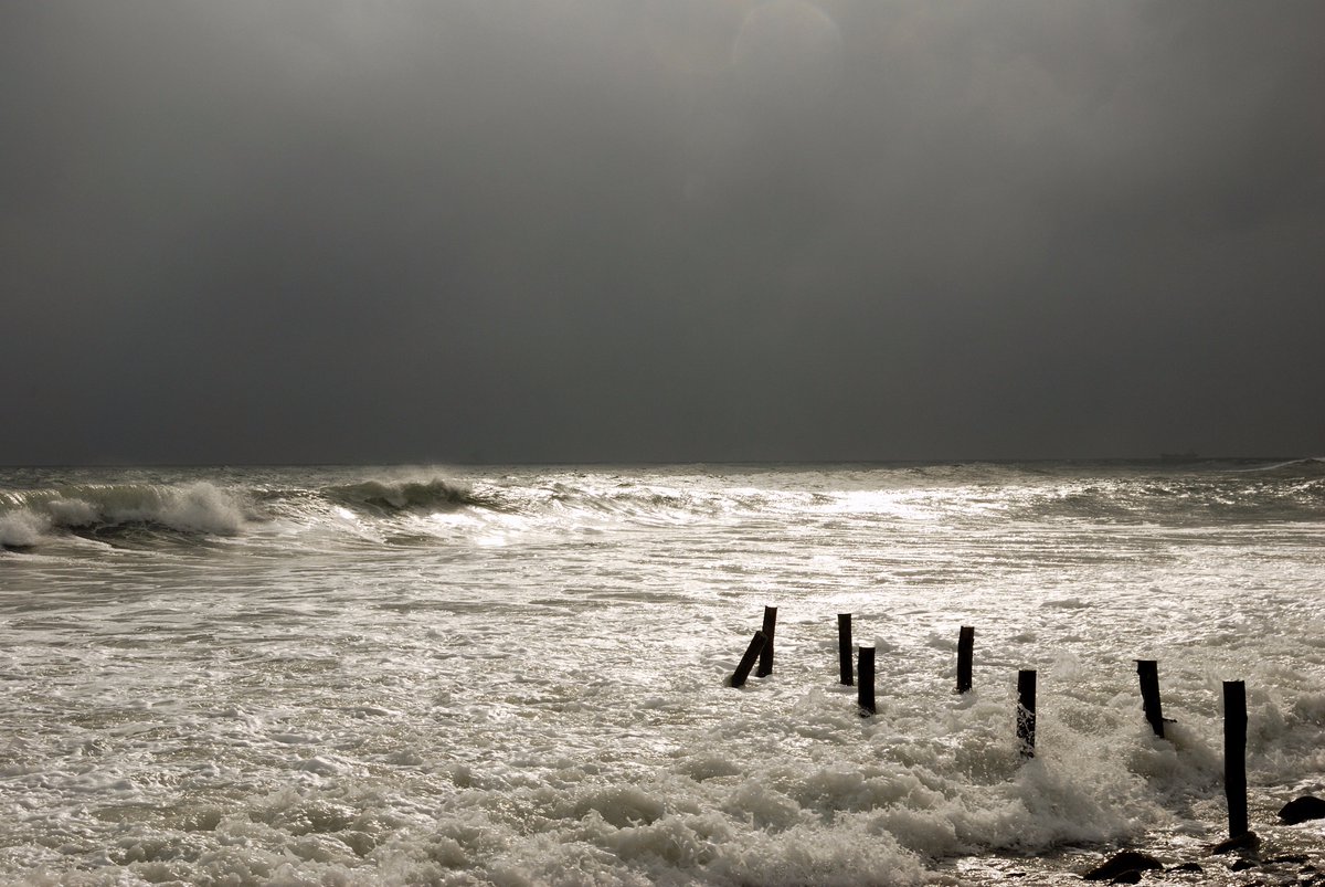 Alfredo_Scacchi's tweet photo. Heavy Clouds
#PhotographyIsArt #photography #landscape #landscapes #landscapephoto #landscapephotos #landscapeshots #landscapeshot #landscapepics #landscapepic #landscapephotography #seaside #sea #waves #rain #rainy #beach #picoftheday #travels #travel #travelshots #travelphotos https://t.co/23xjiqFKul