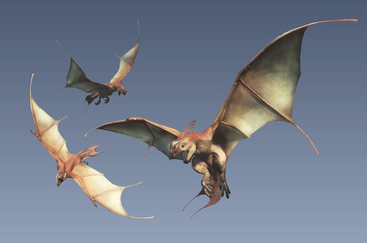 モンスターハンターワールド アイスボーン公式 على تويتر モンハンワールド ラフィノス は降り注ぐ陸珊瑚の卵を捕食するために群れで集まる翼竜種モンスター