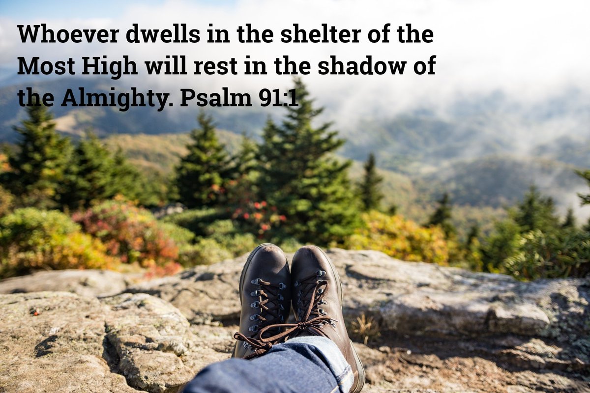 David Praise tweet media