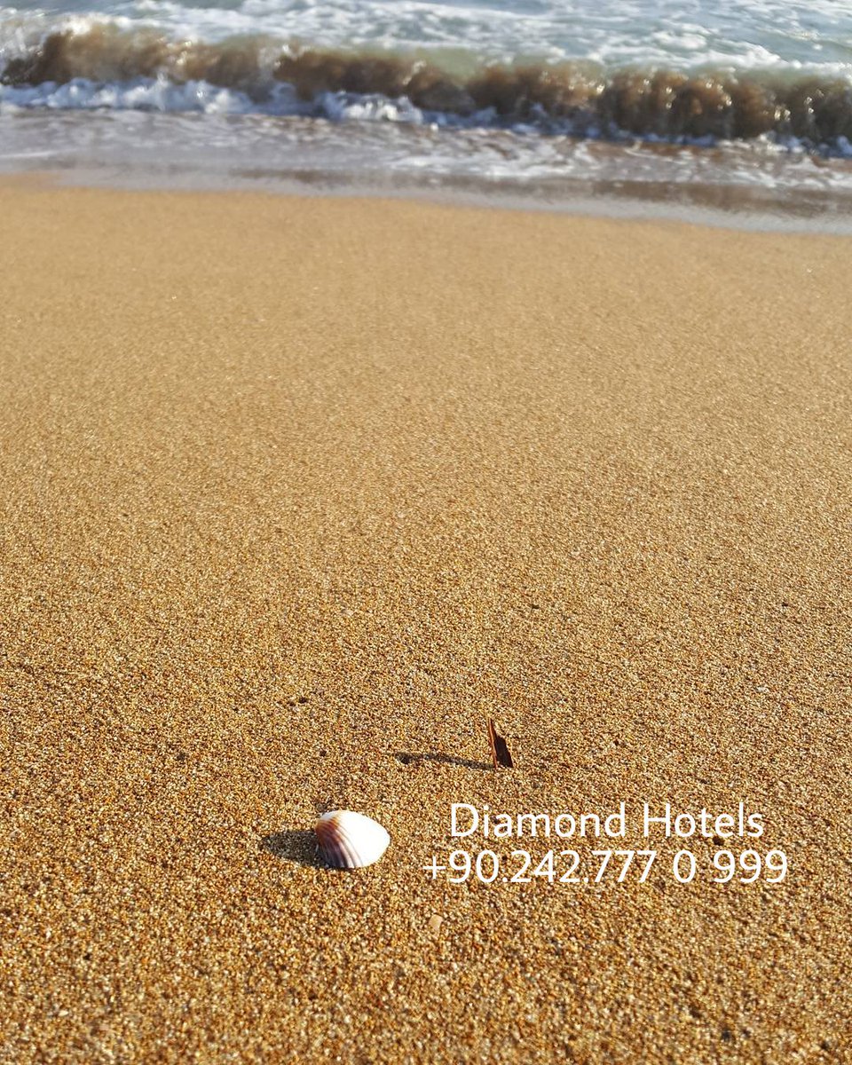 DiamondHotelsTR's tweet photo. The place for your senses💟🇹🇷
https://t.co/MKAR69TE1q💎
☎️+90.777 0 999
#Diamondhotels #Antalya #Side https://t.co/cxsu9Ueaim