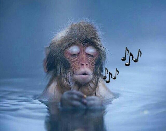 PearlL_koe's tweet photo. @CassperNyovest did his best & his all to #FillUpFnbStadium π @akaworldwide should try to #FillUpTheChurch since he's a Christian musician https://t.co/Zb5d4hcdRJ