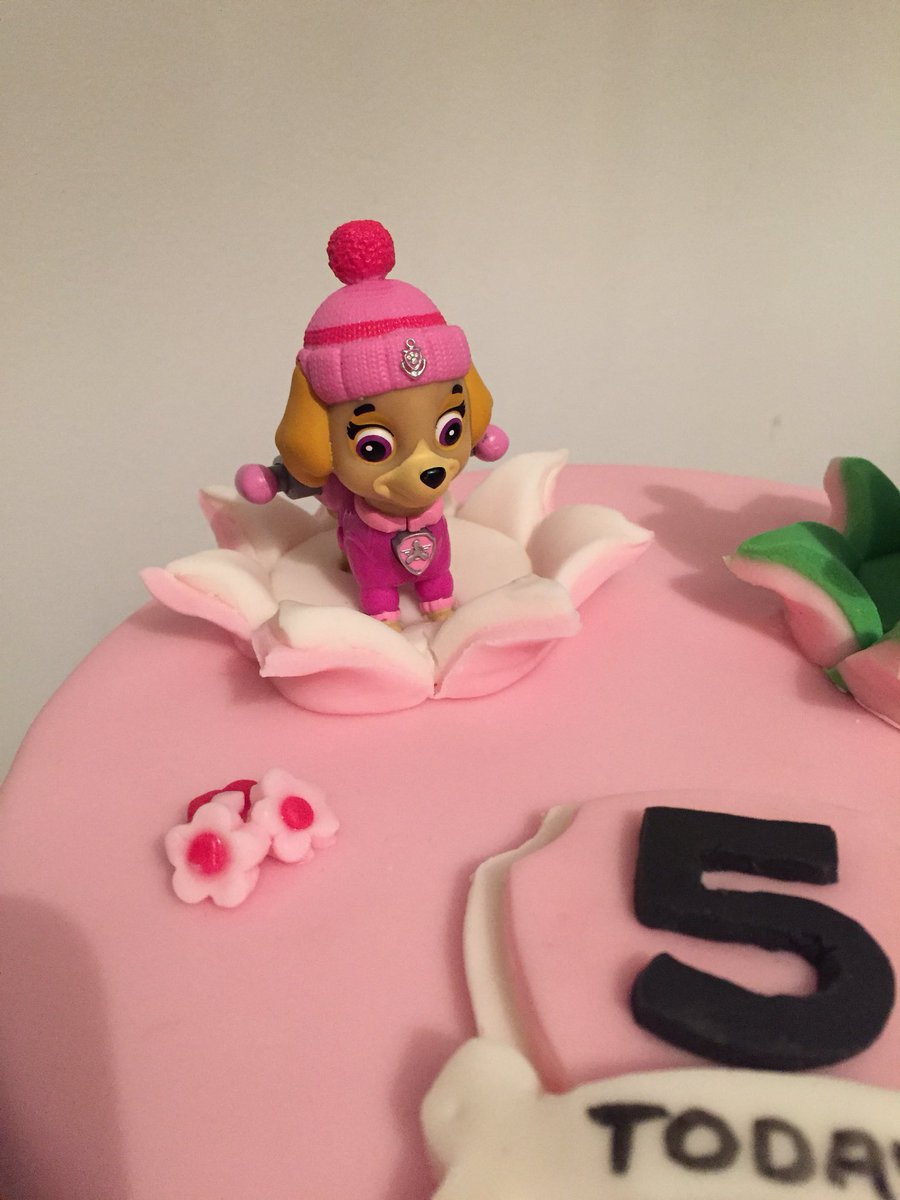 stephmcd90's tweet photo. Delivering this Paw Patrol cake today, hope the wee girl likes it. @Nickelodeon #StephsCakes #AmateurBaker #PawPatrolCake #PawPatrol #BirthdayCake #ExplosionCake https://t.co/bPRiWsrkAt