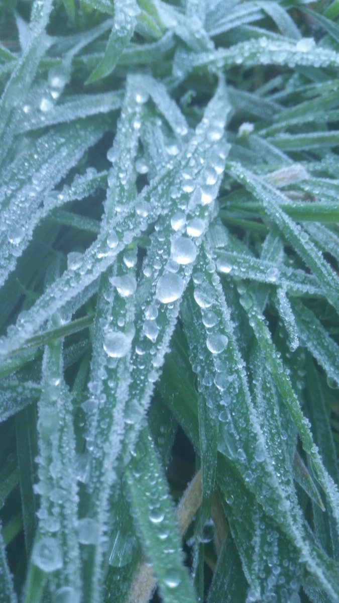 // A beautiful weekend to all!