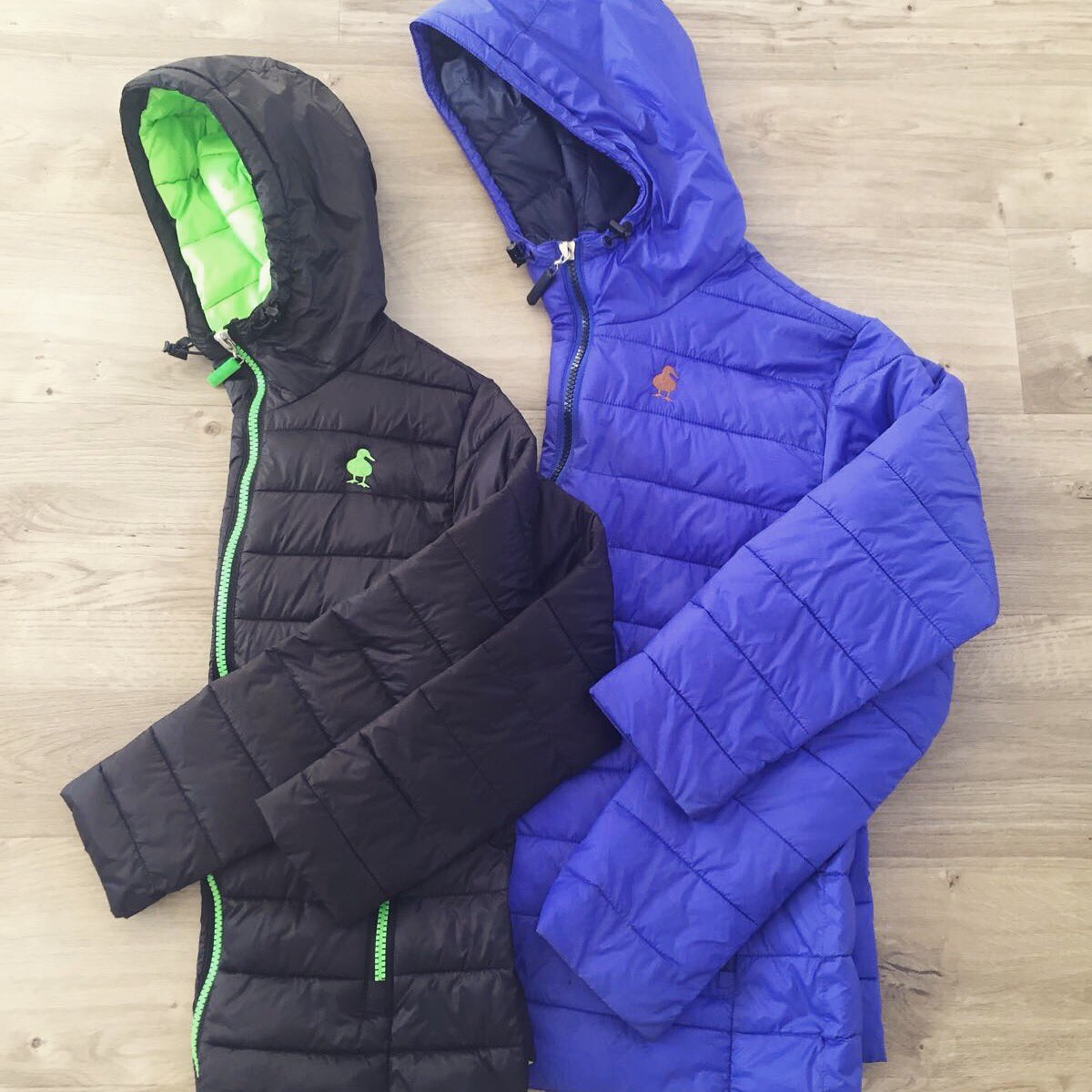 PintailUK's tweet photo. 🔵 or ⚫️ - the choice is yours! https://t.co/hJDdkGm8dO