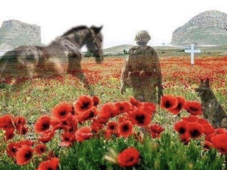 They shall not grow old as we that are left grow old:

Age shall not weary them, nor the years condemn

At the going down of the sun and in the morning,

We will remember them.